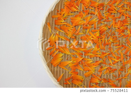 Calendula Calendula 75528411