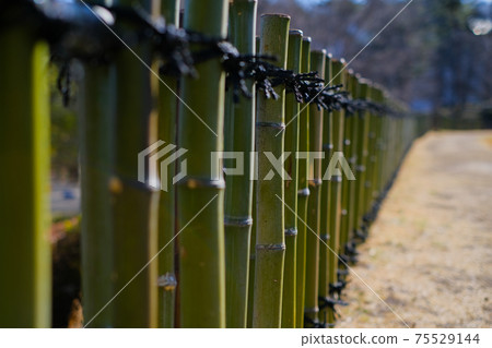 Bamboo fence Bamboo fence 75529144