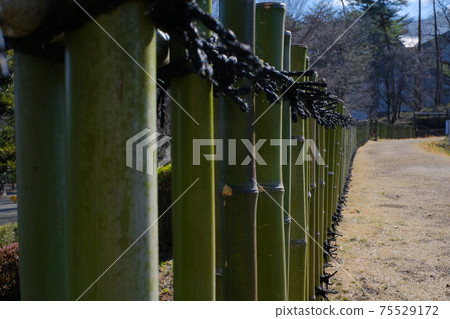 Bamboo fence Bamboo fence 75529172