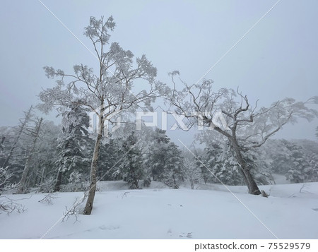 Grandeco Ski Resort in Fukushima Prefecture in 2021 Grandeco Ski Resort in Fukushima Prefecture in 2021 75529579