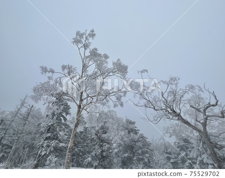 Grandeco Ski Resort in Fukushima Prefecture in 2021 Grandeco Ski Resort in Fukushima Prefecture in 2021 75529702