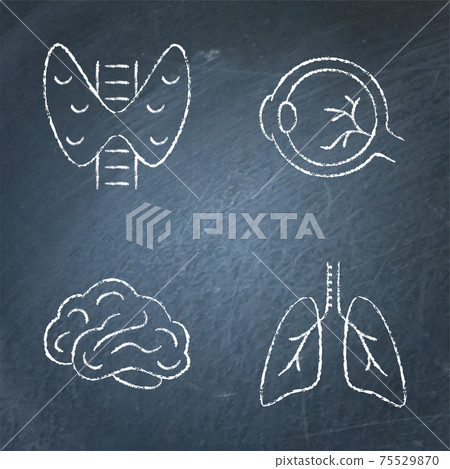 Human internal organs icon sketch set on chalkboard Human internal organs icon sketch set on chalkboard 75529870