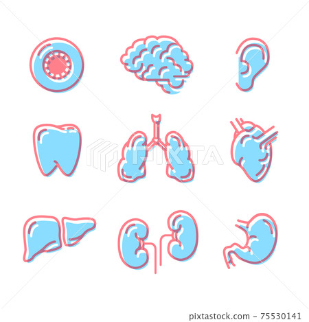 Set of simple colour icons of human organs on white 75530141
