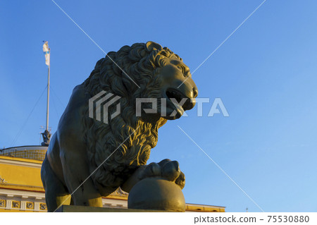 A wonderful sculpture of lion predator in St. Petersburg in rays of sunset light 75530880