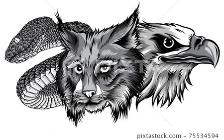 This is an Eagle lynx snake Heads Mascot monochromatic 75534594