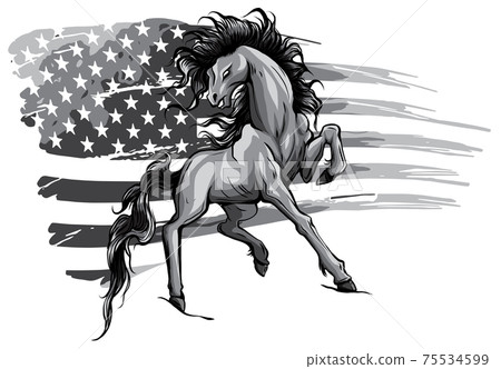 monochromatic American Horse Flag Logo Vector illustration design monochromatic American Horse Flag Logo Vector illustration design 75534599