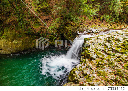 Autumn in Kawazu, Izu Peninsula, Kawazu Nanataki in autumn colors, Snake Waterfall Autumn in Kawazu, Izu Peninsula, Kawazu Nanataki in autumn colors, Snake Waterfall 75535412