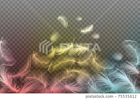 Ecological feather filler for pillows, blankets or jackets.Realistic vector goose or chicken feathers. Ecological feather filler for pillows, blankets or jackets.Realistic vector goose or chicken feathers. 75535812