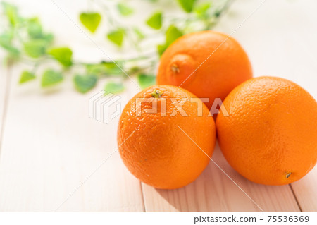 Orange  75536369