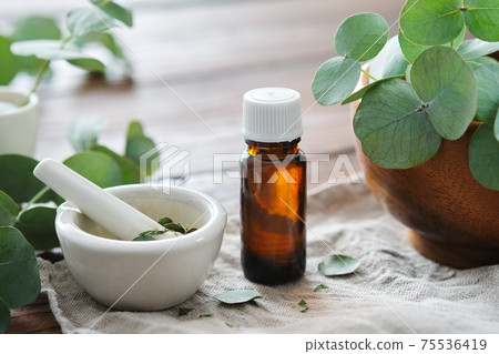 Bottle of eucalyptus oil, mortar and wooden bowl of fresh green eucalyptus leaves on table. 75536419