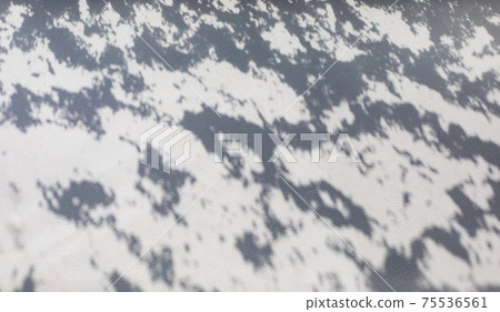 Shadow on the wall from the snow on the window 75536561