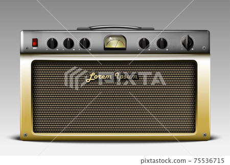 Realistic guitar combo amp. Vector. Realistic guitar combo amp. Vector. 75536715