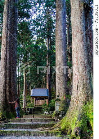 Oyama Shrine Nakamiya Prayer Hall Approach (Vertical) 1 75538011