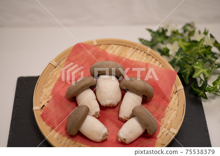 Daikoku Hon-shimeji from Kyoto Niwa 75538379