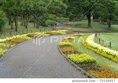 Early summer park 75538457