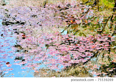 Hirosaki Castle in full bloom in spring Hirosaki Castle in full bloom in spring 75539269