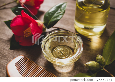 Image material of camellia oil Image material of camellia oil 75539775