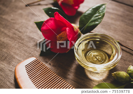 山茶油的圖像素材 75539778