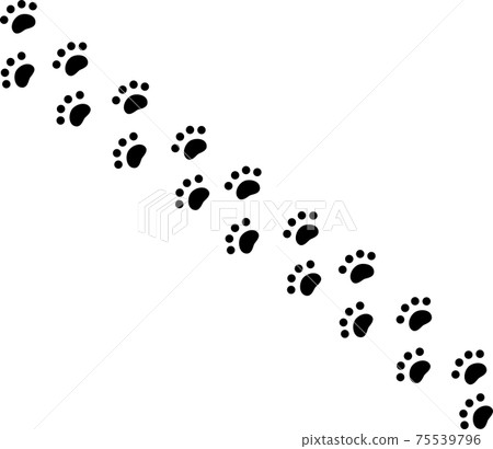 Black animal footprints decorative ruled lines 75539796
