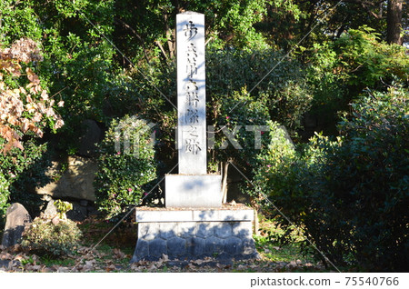 Stone monument of "Infantry 6th Union Remains" (Nagoya Castle Ninomaru Garden / Nagoya City, Aichi Prefecture) Stone monument of "Infantry 6th Union Remains" (Nagoya Castle Ninomaru Garden / Nagoya City, Aichi Prefecture) 75540766