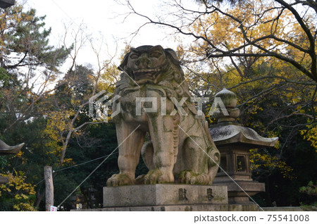 Stone statue of Karashi (Sumiyoshi Taisha/Sumiyoshi, Sumiyoshi-ku, Osaka-shi, Osaka) 75541008
