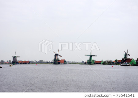 Zaanse Schans windmills in the Netherlands 75541541