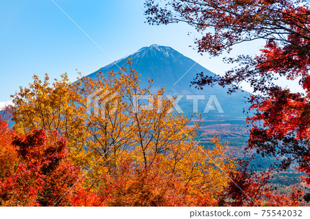 Mt. Fuji seen from Koyodai, Narusawa Village, Yamanashi Prefecture Mt. Fuji seen from Koyodai, Narusawa Village, Yamanashi Prefecture 75542032