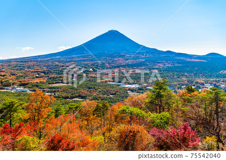 Mt. Fuji seen from Koyodai, Narusawa Village, Yamanashi Prefecture Mt. Fuji seen from Koyodai, Narusawa Village, Yamanashi Prefecture 75542040