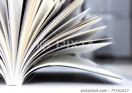 Open book Open book 75542617
