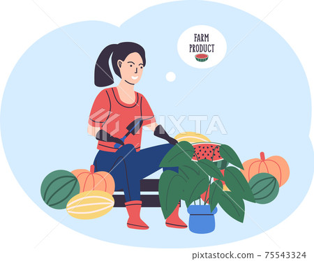Woman farmer sitting on wooden box with vegetables plants plant in pot. Agricultural worker Woman farmer sitting on wooden box with vegetables plants plant in pot. Agricultural worker 75543324