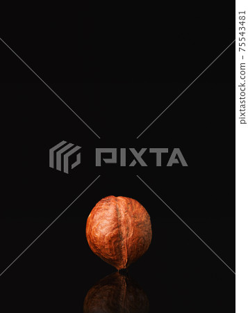 Hazelnut on black background. Low key style. Nut Hazelnut on black background. Low key style. Nut 75543481