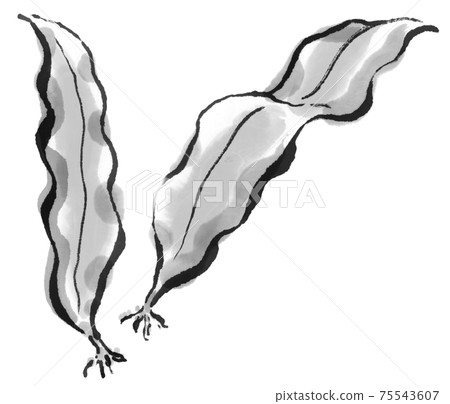 Flavorful kelp 3 75543607