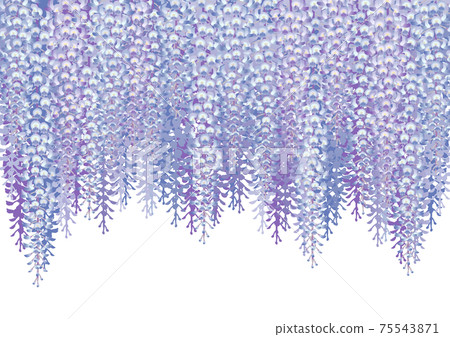 裝飾背景紫藤架子 裝飾背景紫藤架子 75543871