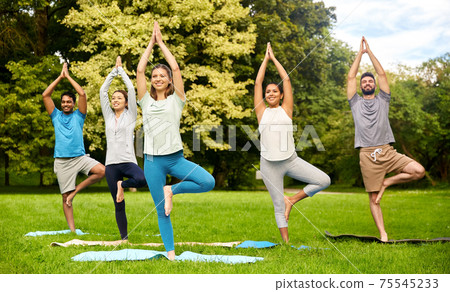 group of people doing yoga at summer park group of people doing yoga at summer park 75545233