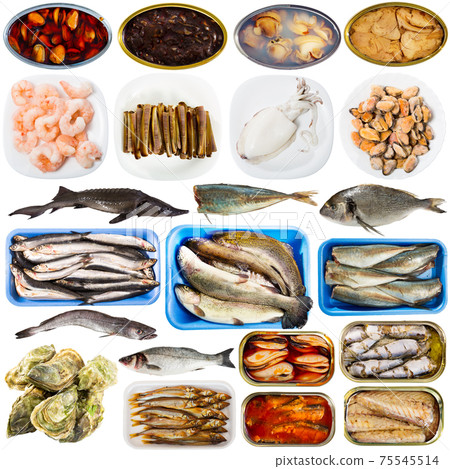 Raw and canned seafood and fish isolated on white Raw and canned seafood and fish isolated on white 75545514