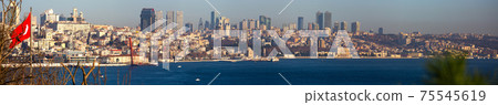 Panoramic view of Istanbul cityscape from Topkapi across Bosphorus Panoramic view of Istanbul cityscape from Topkapi across Bosphorus 75545619