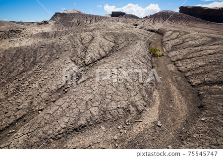 Formations of stones in Ischigualasto Park 75545747
