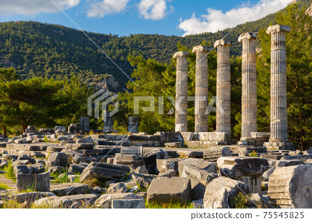 Athena temple in Priene, Turkey. 75545825