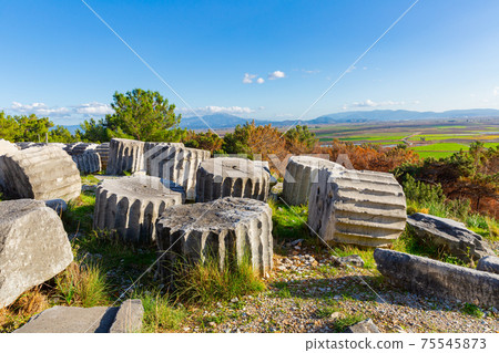 Architectural elements and parts of columns of Temple of Athena in Priene, Turkey 75545873