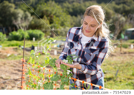 Positive woman caring for plants in her garden Positive woman caring for plants in her garden 75547029