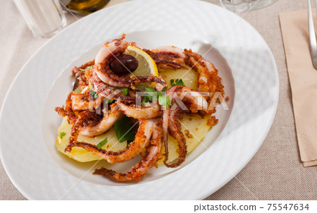 Delicious cooked squid or octopus tentacles with lemon and parsley on a plate Delicious cooked squid or octopus tentacles with lemon and parsley on a plate 75547634