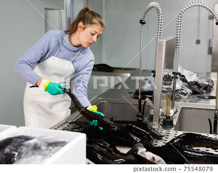 Workwoman preparing for sale sturgeon Workwoman preparing for sale sturgeon 75548079
