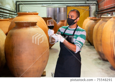 Worker of winery testing wine in glass 75548291
