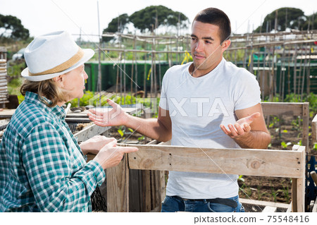 Elderly woman and young man talking on the border of the garden plot 75548416