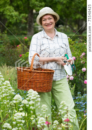 retiree gardener basket 75548425