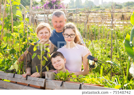 Family of four posing at sunny garden 75548742