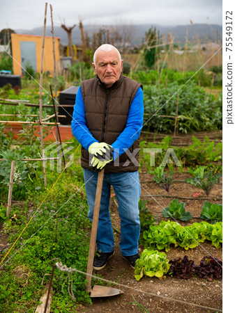 Tired senior man with hoe in kitchen garden Tired senior man with hoe in kitchen garden 75549172