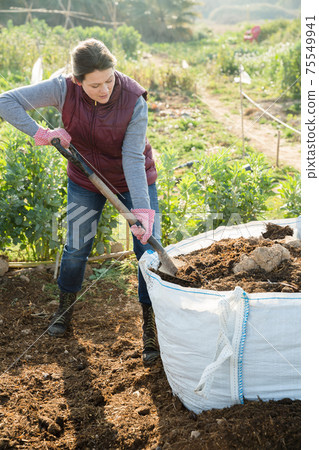 Woman spreading natural fertilizer Woman spreading natural fertilizer 75549941