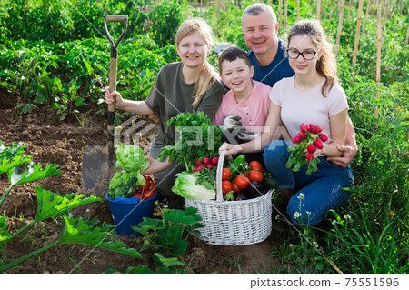 Happy family posing with basket of ripe vegetables on field 75551596