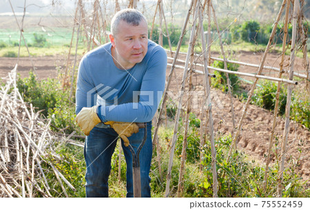 Horticulturist with mattock standing near wooden trellis in garden outdoor 75552459